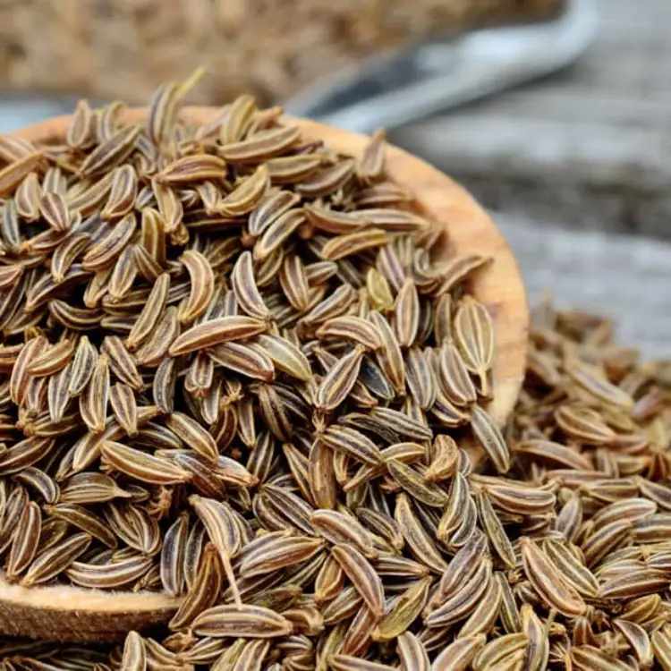 CARAWAY