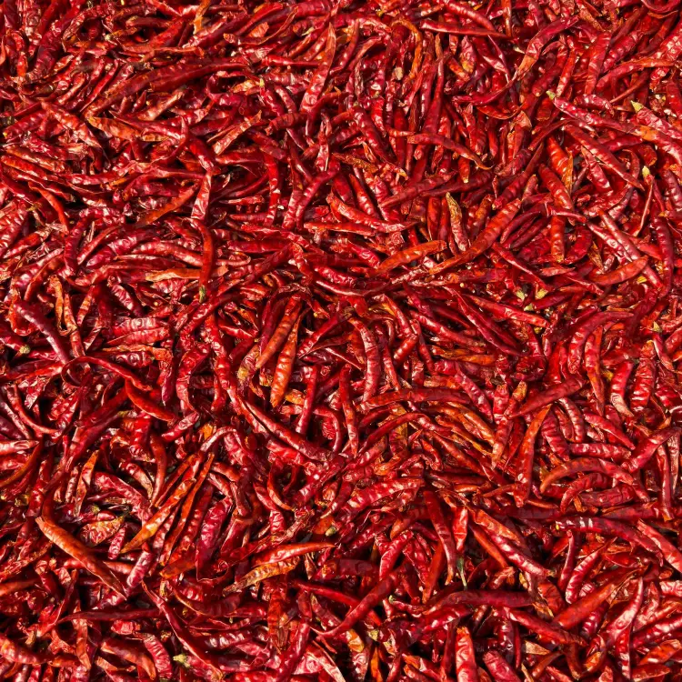 Chili