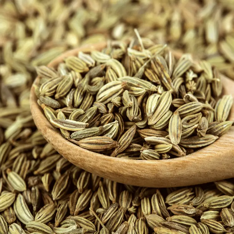 FENNEL