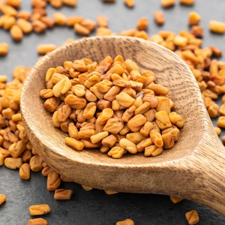Fenugreek