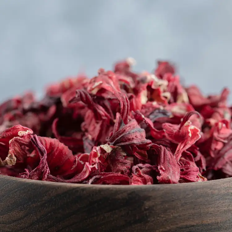HIBISCUS