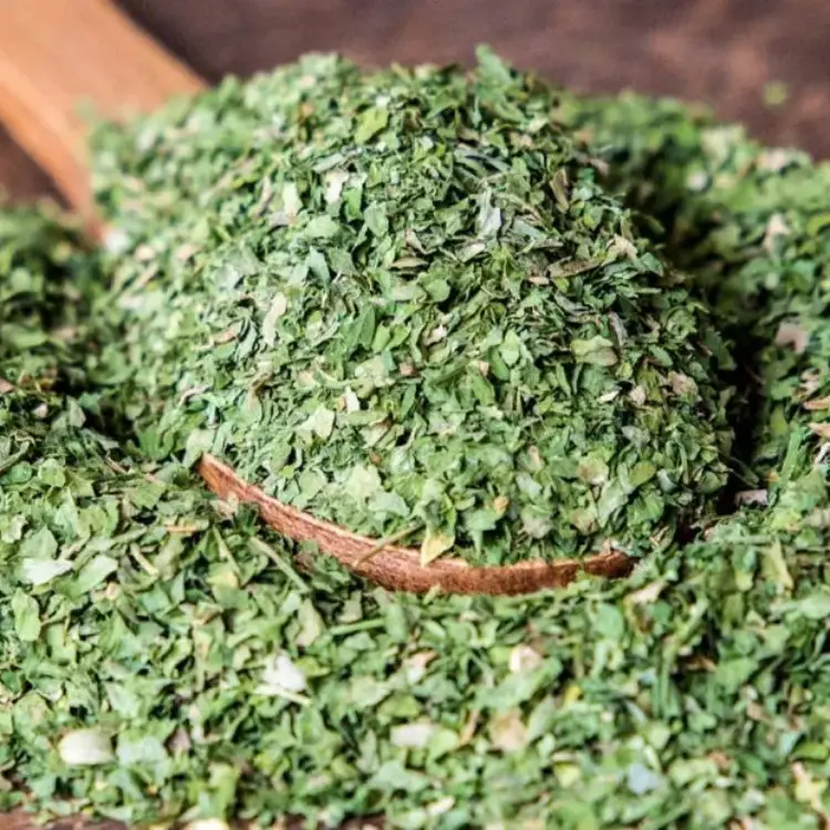 PARSLEY CURLY