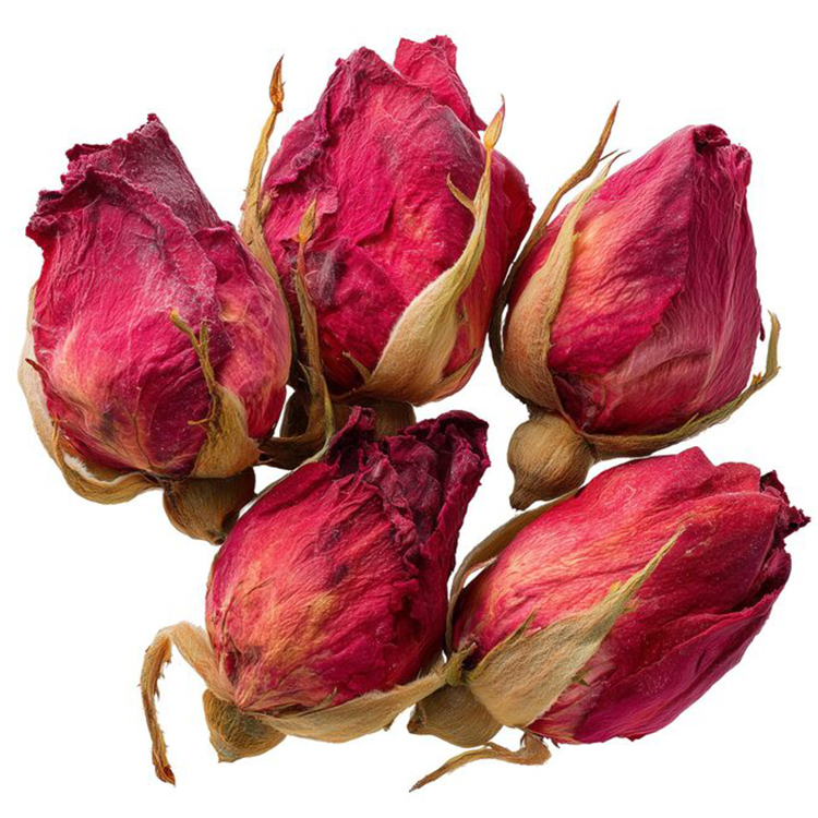Red Roses