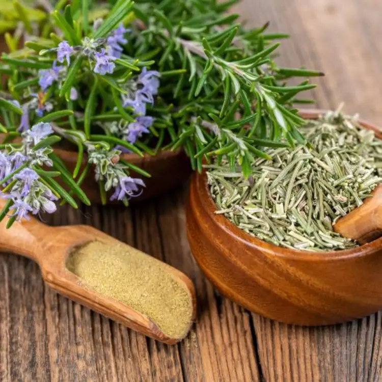 ROSEMARY