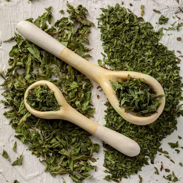 SPEARMINT