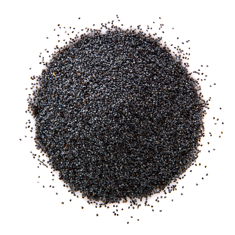 Basil seeds
