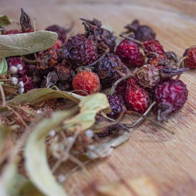 Berry leaves