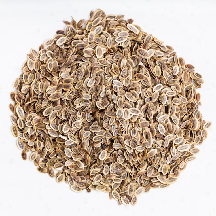 Dill seeds