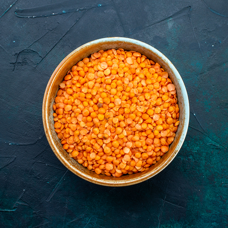 Lentil