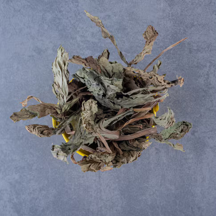 Nettle
